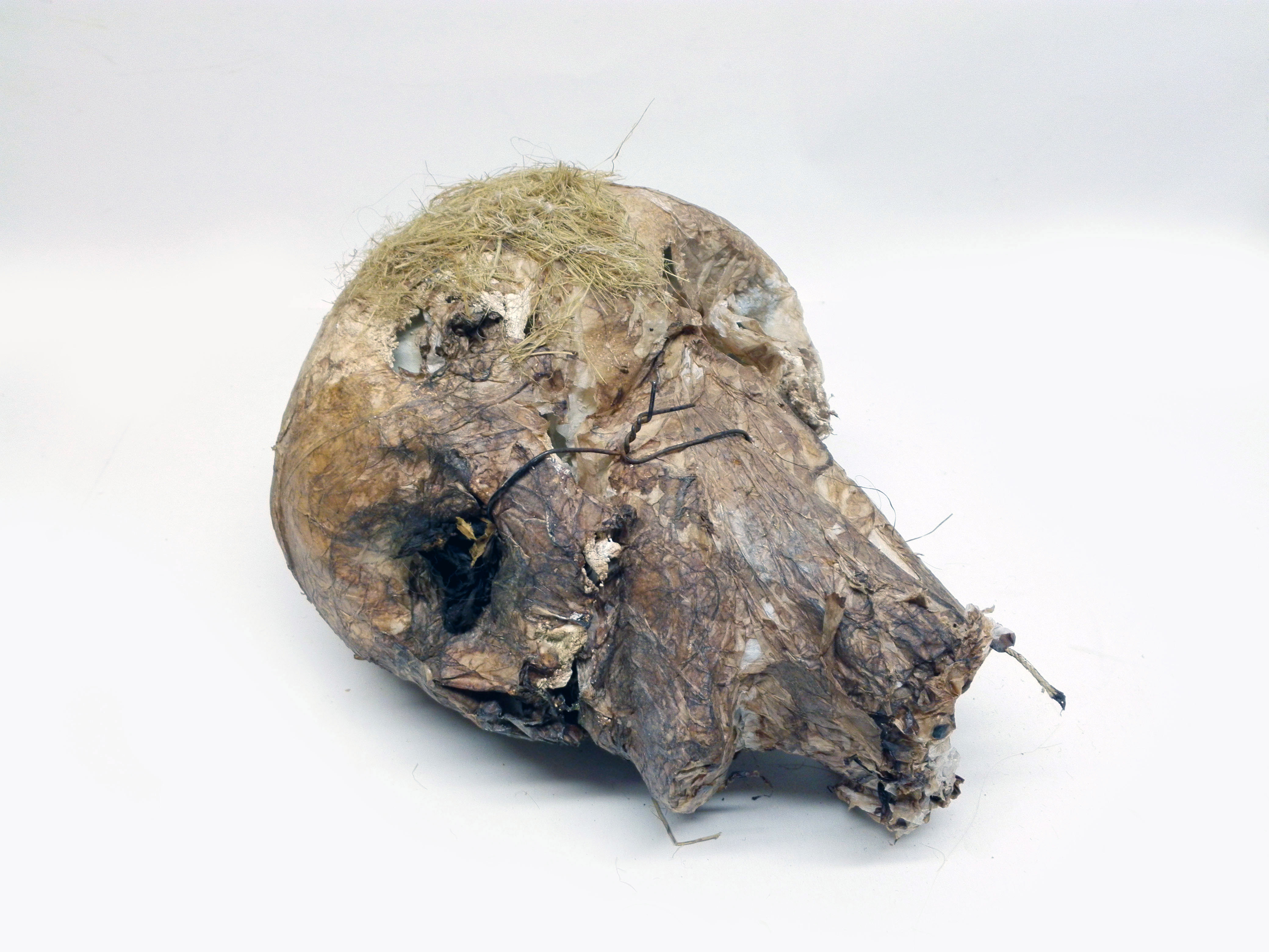 cabeza no4 hombre calavera momificada replica 30x17x23 1u